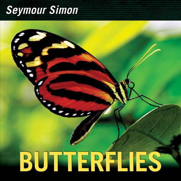 Butterflies by Seymour Simon, Hardcover | Indigo Chapters