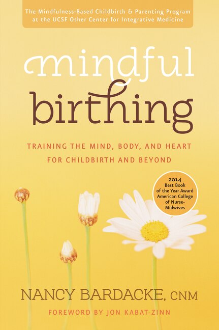 Mindful Birthing by Nancy Bardacke, Paperback | Indigo Chapters