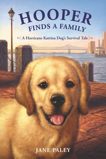 Hooper Finds A Family by Jane Paley, Paperback | Indigo Chapters