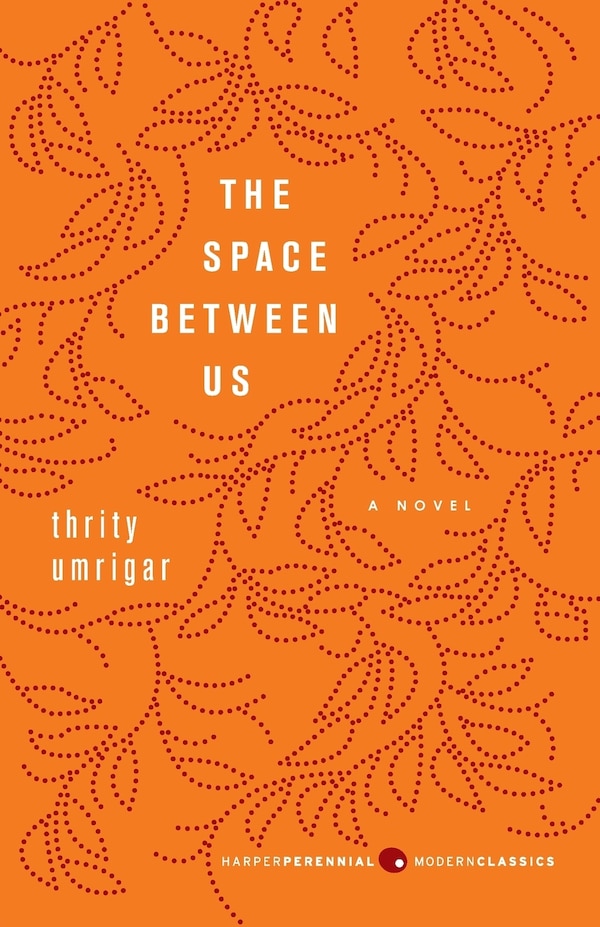 The Space Between Us by Thrity Umrigar, Paperback | Indigo Chapters