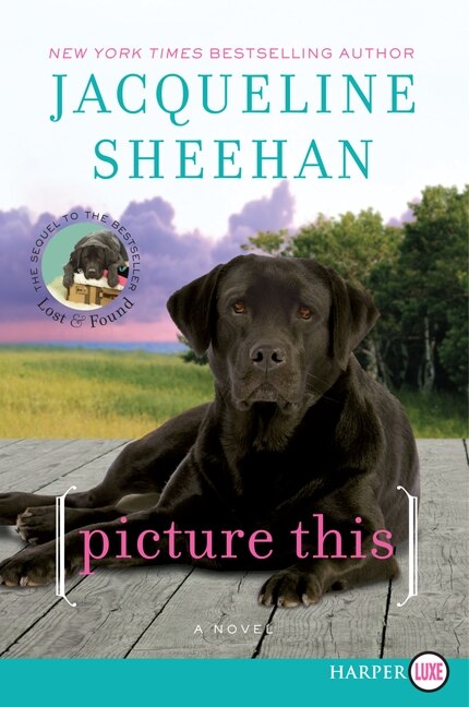 Picture This by Jacqueline Sheehan, Paperback | Indigo Chapters