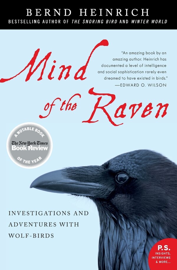 Mind of the Raven by Bernd Heinrich, Paperback | Indigo Chapters