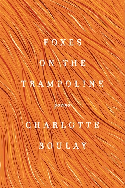 Foxes On The Trampoline by Charlotte Boulay, Paperback | Indigo Chapters