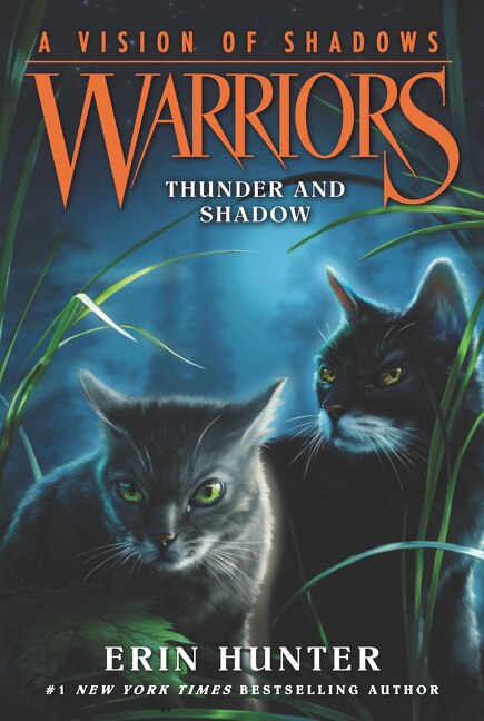 Warriors: A Vision Of Shadows #2: Thunder And Shadow by Erin Hunter, Paperback | Indigo Chapters