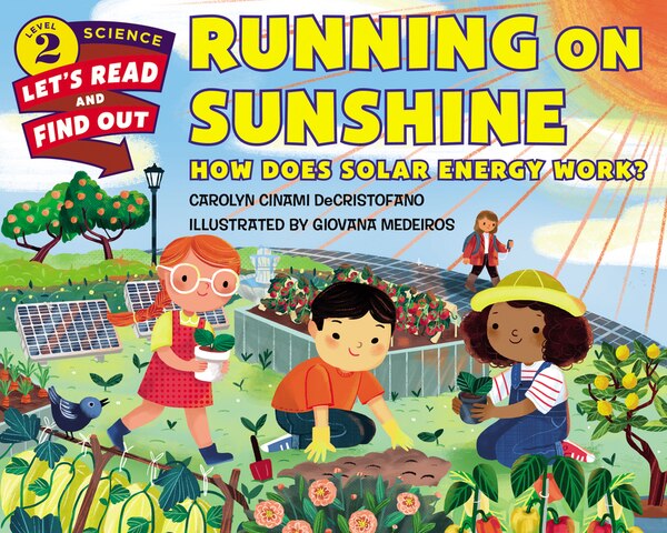 Running On Sunshine by Carolyn Cinami Decristofano, Paperback | Indigo Chapters