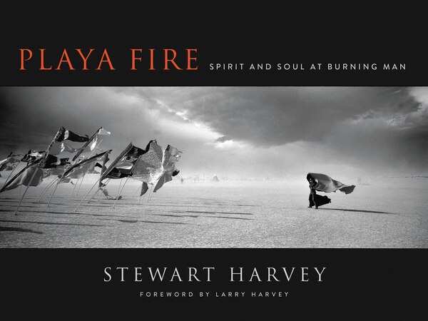 Playa Fire by Stewart Harvey, Hardcover | Indigo Chapters