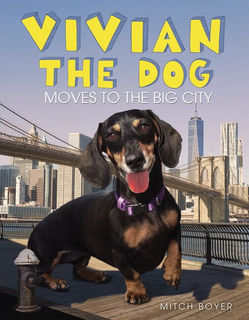 Vivian The Dog Moves To The Big City by Mitch Boyer, Hardcover | Indigo Chapters