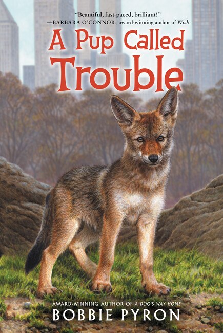 A Pup Called Trouble by Bobbie Pyron, Paperback | Indigo Chapters