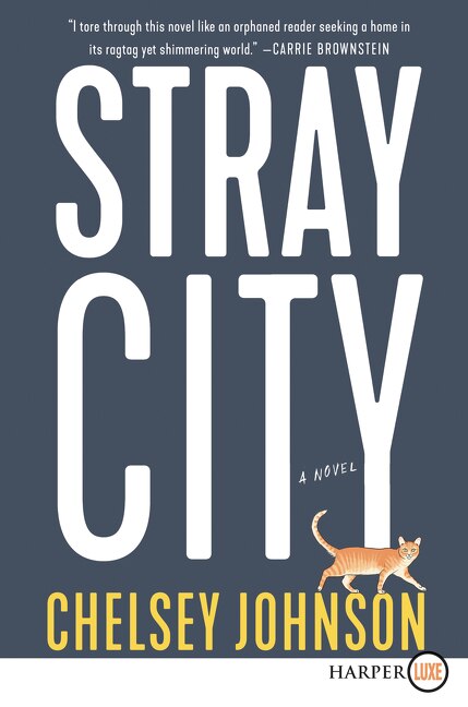 Stray City by Chelsey Johnson, Paperback | Indigo Chapters