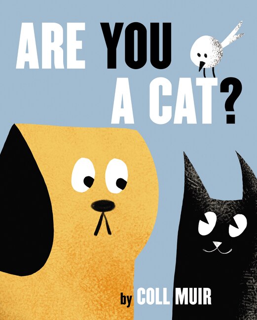 Are You A Cat? by Coll Muir, Hardcover | Indigo Chapters