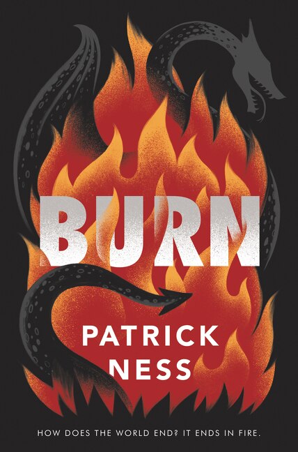 Burn by Patrick Ness, Paperback | Indigo Chapters