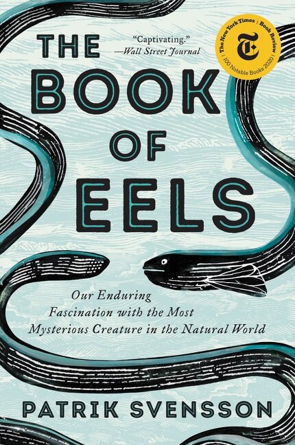 The Book of Eels by Patrik Svensson, Paperback | Indigo Chapters