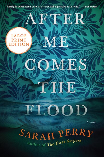 After Me Comes The Flood by Sarah Perry, Paperback | Indigo Chapters