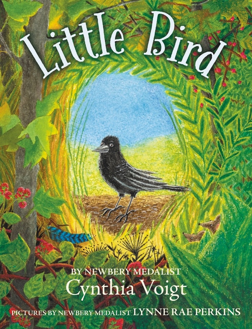 Little Bird by Cynthia Voigt, Hardcover | Indigo Chapters