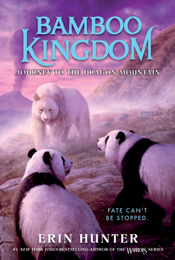 Bamboo Kingdom #3: Journey to the Dragon Mountain by Erin Hunter, Paperback | Indigo Chapters