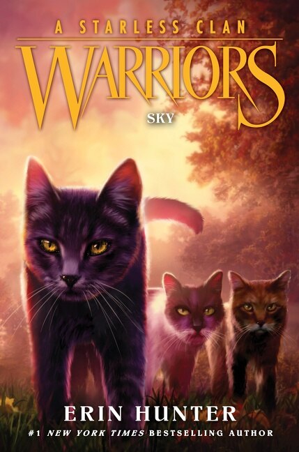 Warriors: A Starless Clan #2: Sky by Erin Hunter, Hardcover | Indigo Chapters