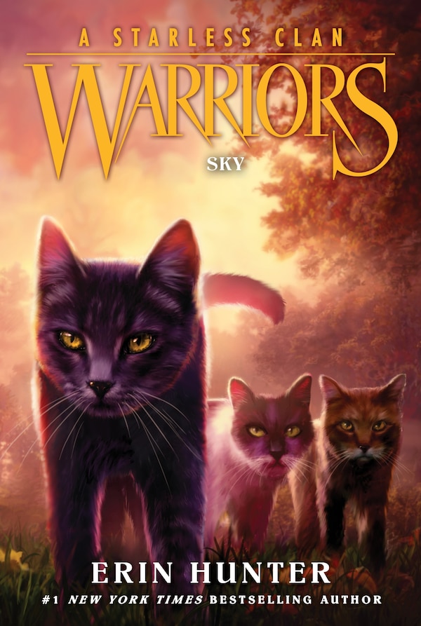 Warriors: A Starless Clan #2: Sky by Erin Hunter, Paperback | Indigo Chapters