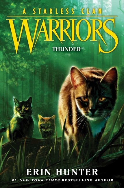 Warriors: A Starless Clan #4: Thunder by Erin Hunter, Paperback | Indigo Chapters