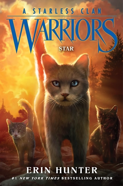 Warriors: A Starless Clan #6: Star by Erin Hunter, Hardcover | Indigo Chapters