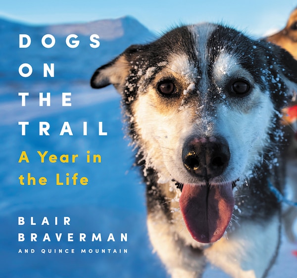 Dogs On The Trail by Blair Braverman, Hardcover | Indigo Chapters