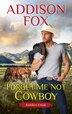 Forget Me Not Cowboy by ADDISON FOX, Mass Market Paperback | Indigo Chapters