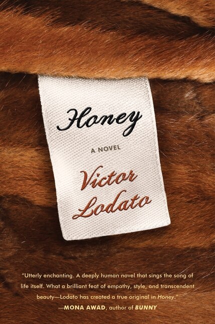 Honey by Victor Lodato, Hardcover | Indigo Chapters