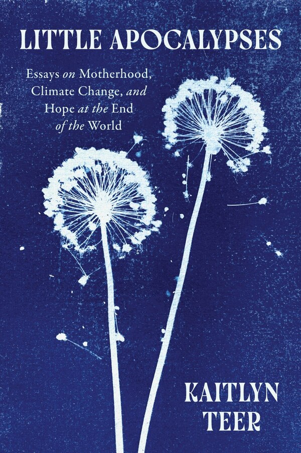 Little Apocalypses by Kaitlyn Teer, Paperback | Indigo Chapters