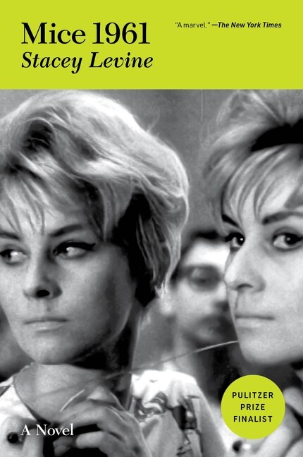 Mice 1961 by Stacey Levine, Paperback | Indigo Chapters
