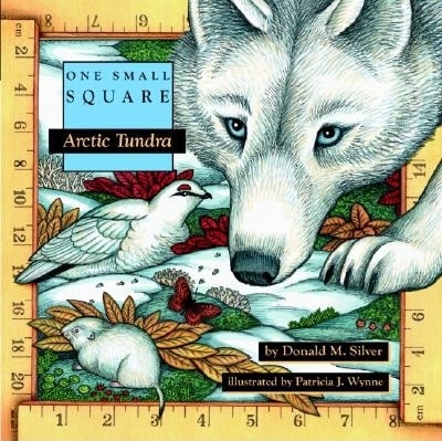 Arctic Tundra by Donald Silver, Paperback | Indigo Chapters