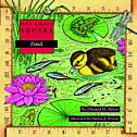 Pond by Donald Silver, Paperback | Indigo Chapters