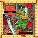 One Small Square: Woods by Donald Silver, Paperback | Indigo Chapters