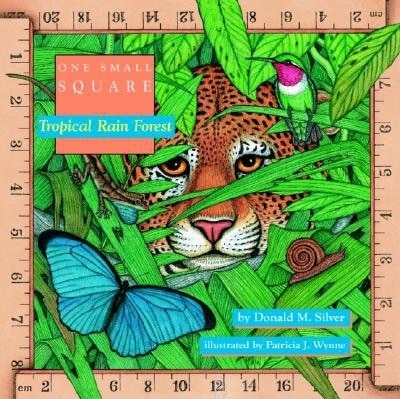 Tropical Rain Forest by Donald Silver, Paperback | Indigo Chapters