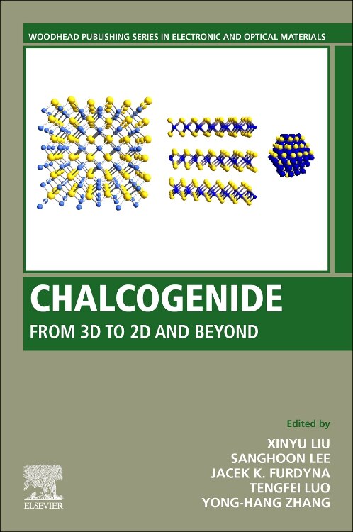 Chalcogenide by Xinyu Liu, Paperback | Indigo Chapters