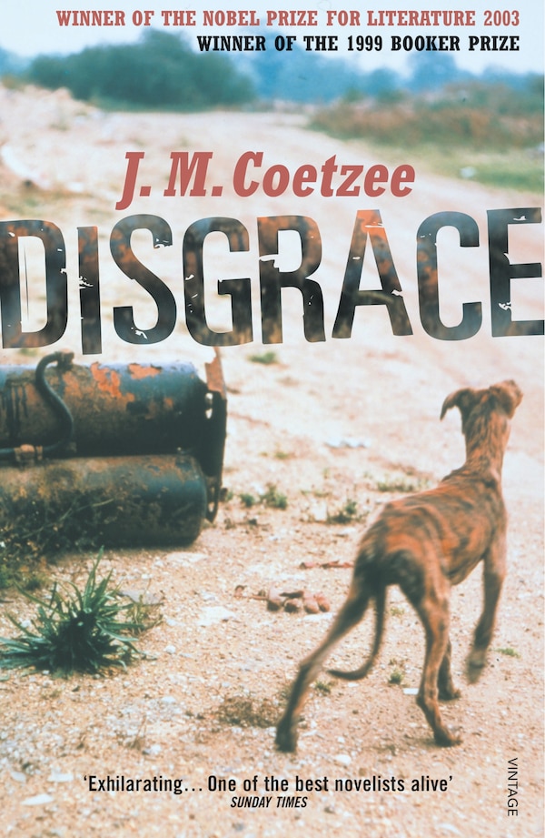 Disgrace by J. M. Coetzee, Paperback | Indigo Chapters