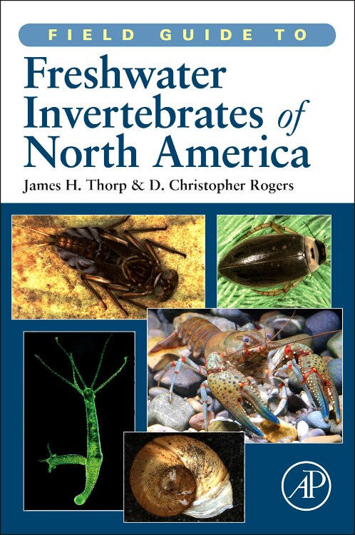Field Guide to Freshwater Invertebrates of North America by James H. Thorp, Paperback | Indigo Chapters