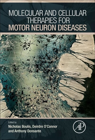 Molecular And Cellular Therapies For Motor Neuron Diseases by Nicholas M Boulis, Hardcover | Indigo Chapters