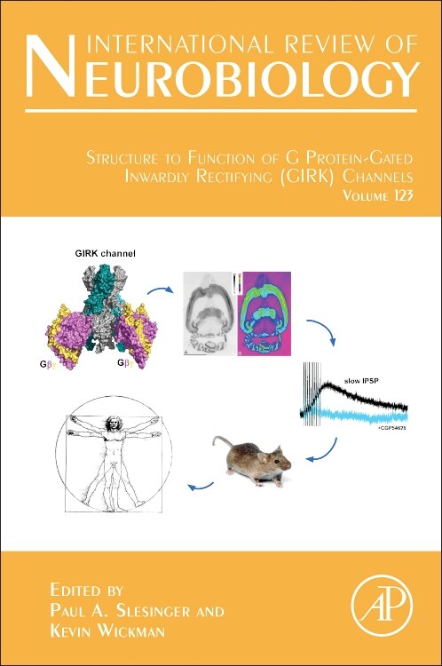 Structure To Function Of G Protein-gated Inwardly Rectifying (girk) Channels by Paul A. Slesinger, Hardcover | Indigo Chapters
