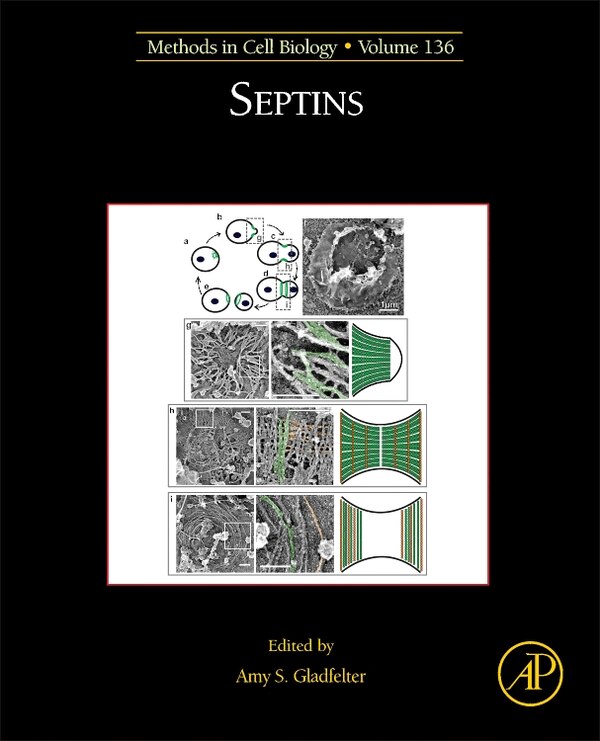 Septins by Amy S Gladfelter, Hardcover | Indigo Chapters