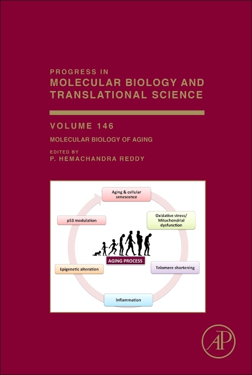 Molecular Biology Of Aging by P. Hemachandra Reddy, Hardcover | Indigo Chapters
