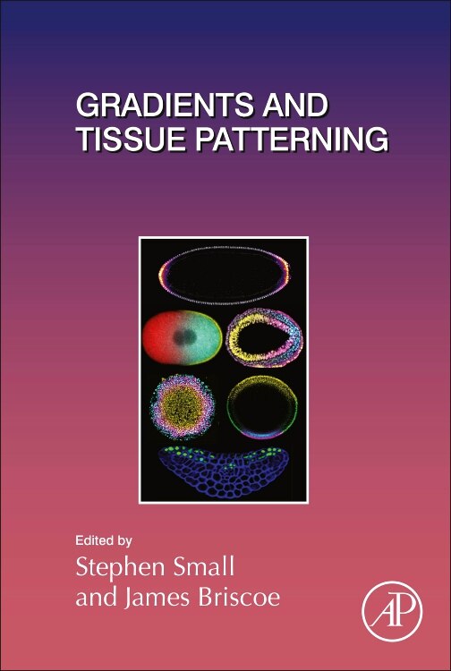 Gradients And Tissue Patterning by Stephen Small, Hardcover | Indigo Chapters