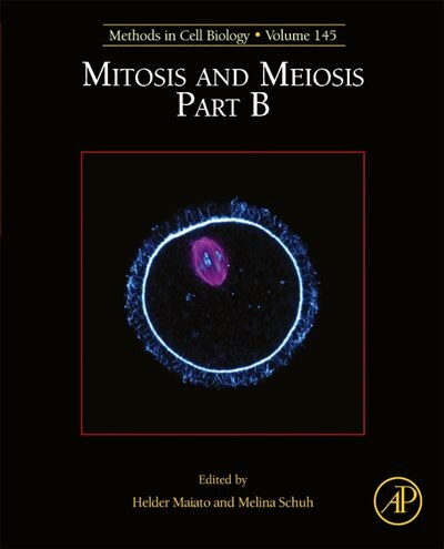 Mitosis And Meiosis Part B by Helder Maiato, Hardcover | Indigo Chapters