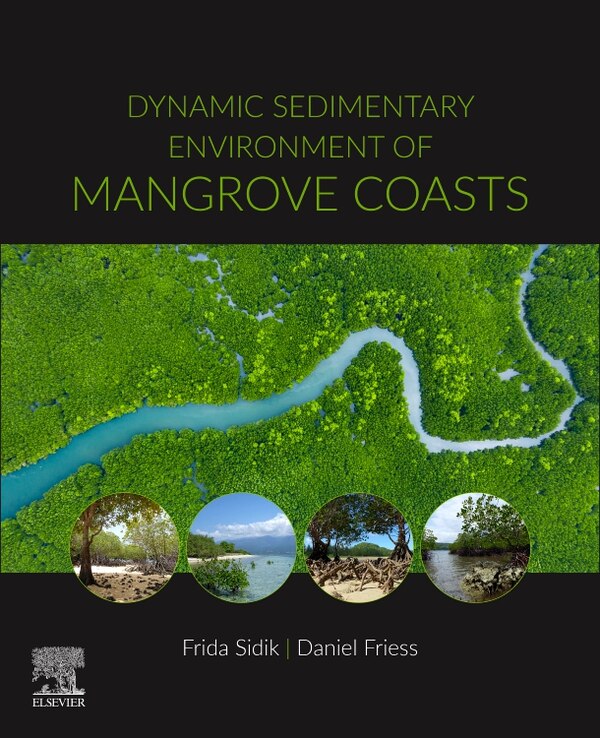 Dynamic Sedimentary Environments Of Mangrove Coasts by Daniel Friess, Paperback | Indigo Chapters