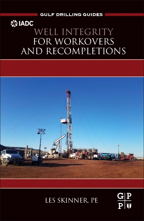 Well Integrity For Workovers And Recompletions by Les Skinner, Hardcover | Indigo Chapters