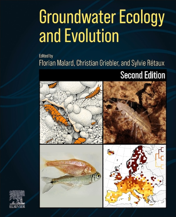 Groundwater Ecology and Evolution by Florian Malard, Paperback | Indigo Chapters