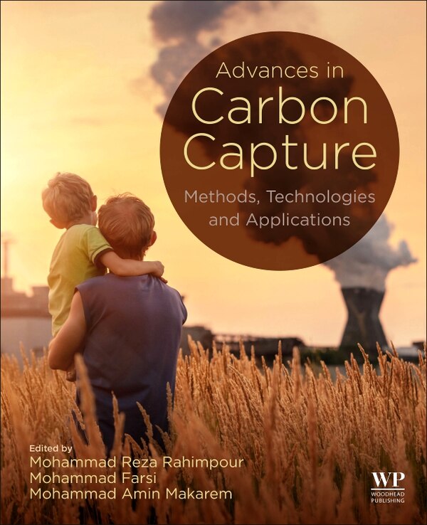 Advances in Carbon Capture by Mohammad Reza Rahimpour, Paperback | Indigo Chapters