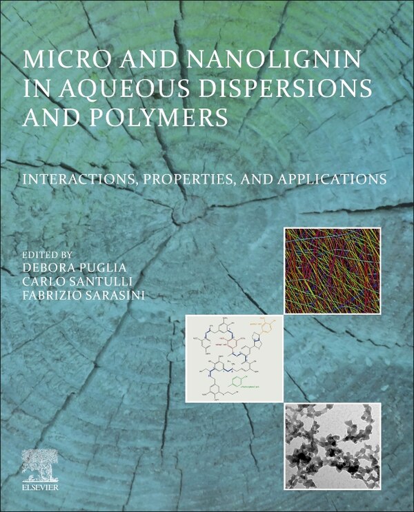 Micro And Nanolignin In Aqueous Dispersions And Polymers by Debora Puglia, Paperback | Indigo Chapters