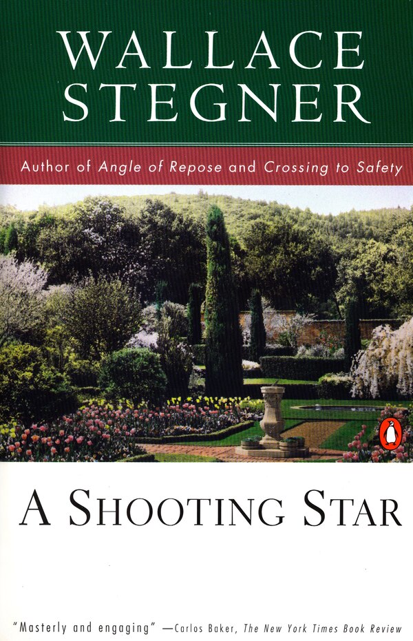 A Shooting Star by Wallace Stegner, Paperback | Indigo Chapters