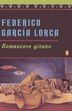 Romancero Gitano by Federico García Lorca, Paperback | Indigo Chapters