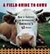 A Field Guide to Cows by John Pukite, Paperback | Indigo Chapters