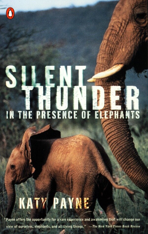 Silent Thunder by Katy Payne, Paperback | Indigo Chapters